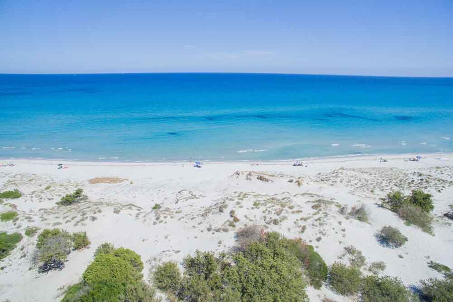 App. ampio vicino le dune - No. 443B