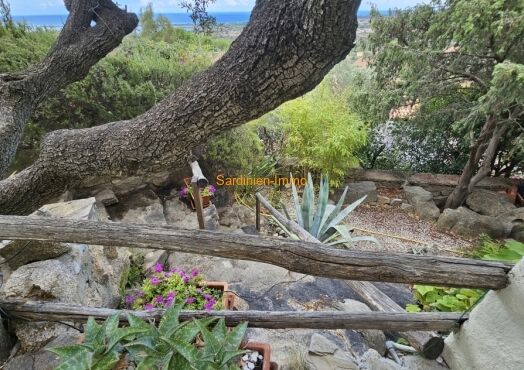 Casa indipendente con due appartamenti a Suaredda di Supra, Sardegna