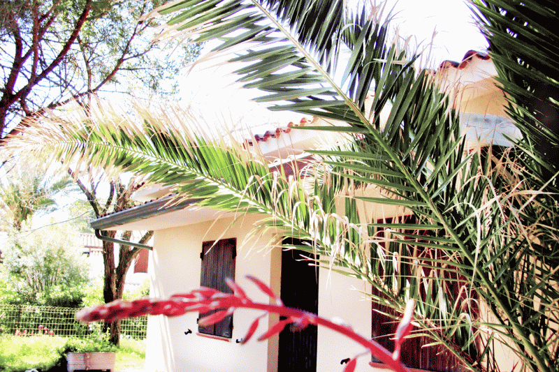 Bungalow fronte mare - No. 305/3