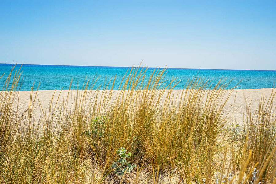 Casa colonica - No. 344