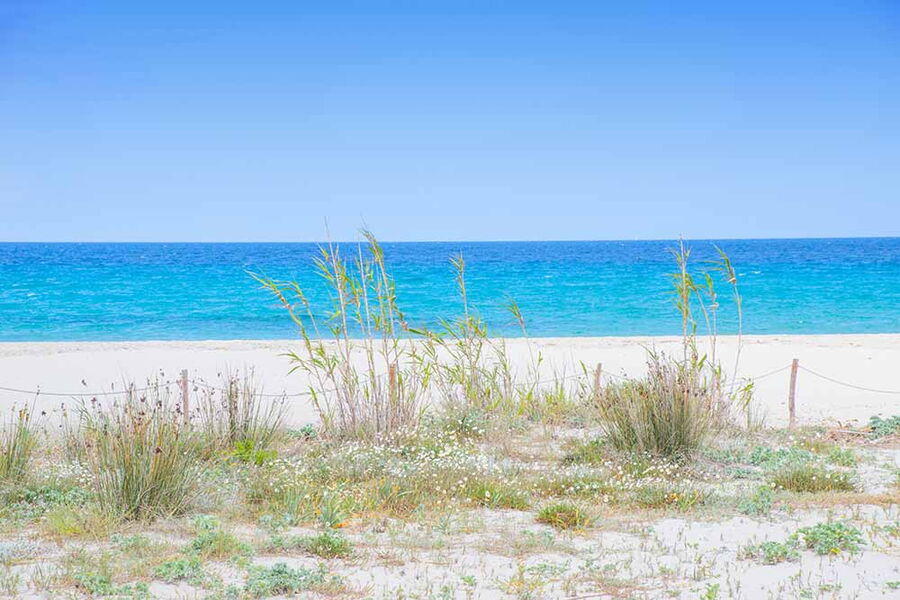 Casa del pastore in campagna - No. 116