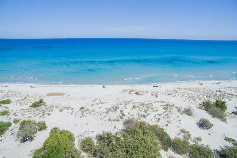 App. ampio vicino le dune - No. 443B