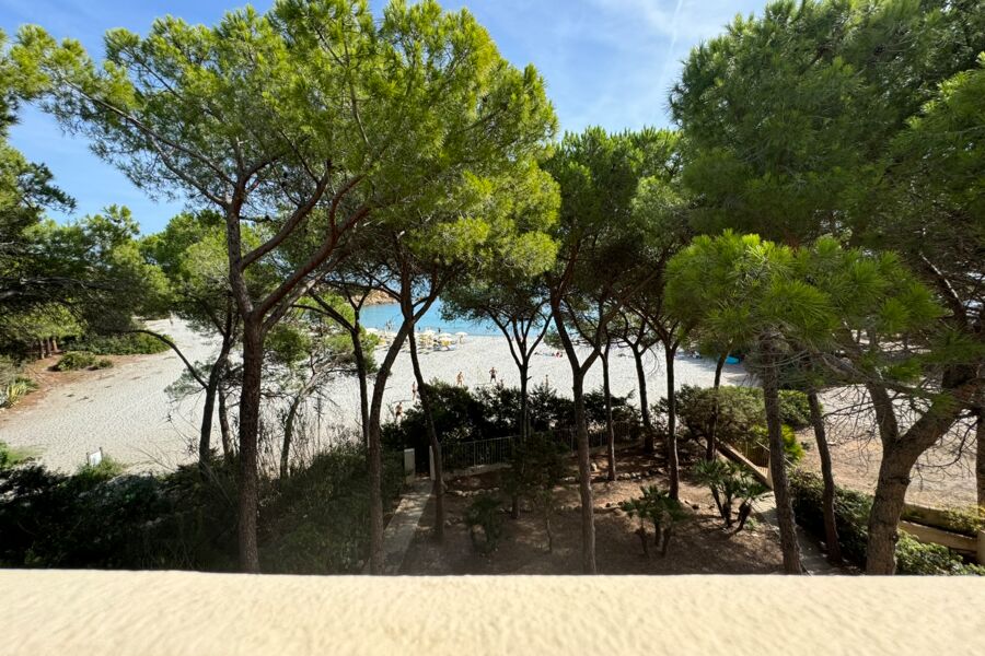 Ampio app. fronte mare - No. 555C