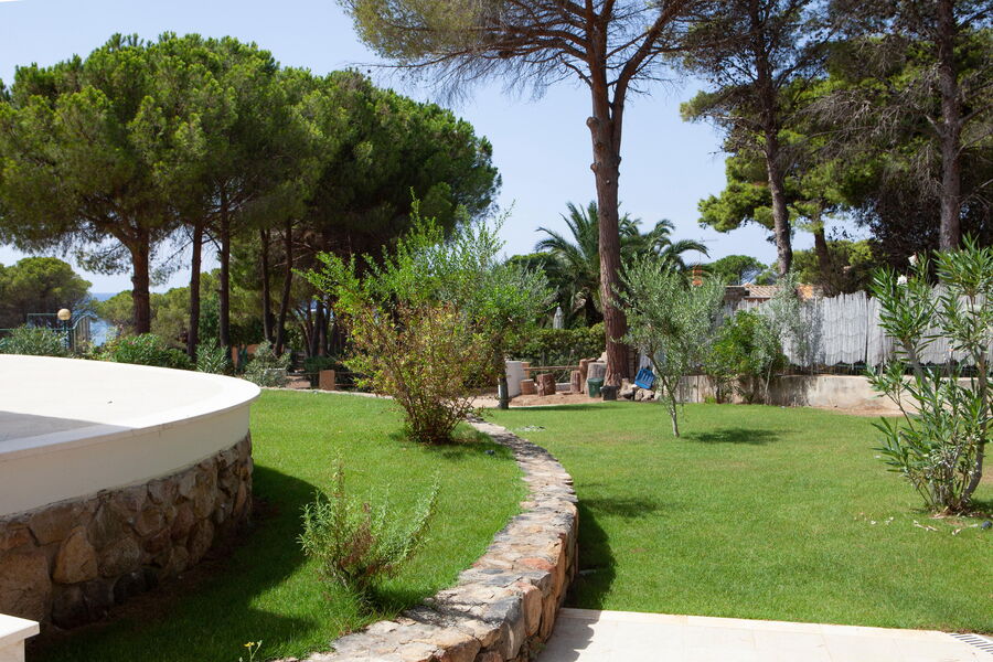 Villa Olivastro - No. S344