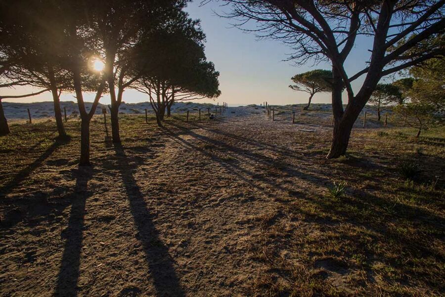Appartamenti vicini al mare - No. 150B