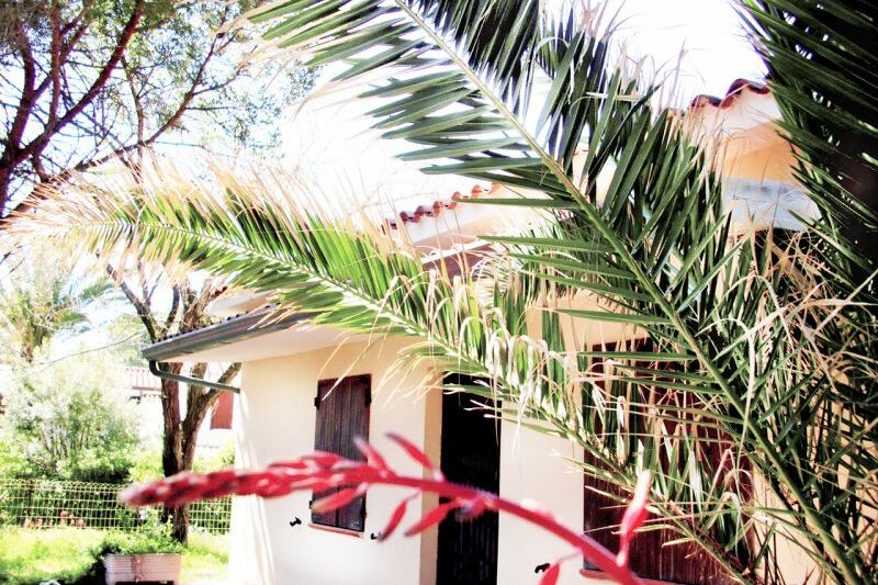Bungalow fronte mare - No. 305/3