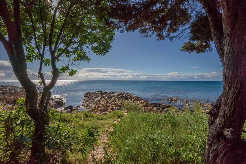 App. piccolo fronte mare - No. 516/2