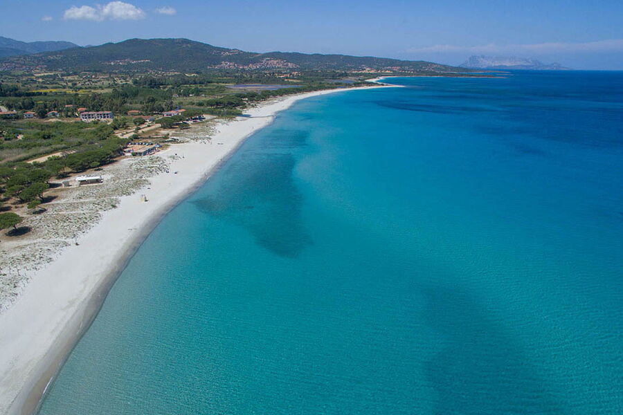 Villa Sarda di pregio - No. 199