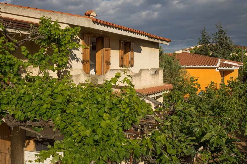 Casa accanto al produttore di miele - No. 163B