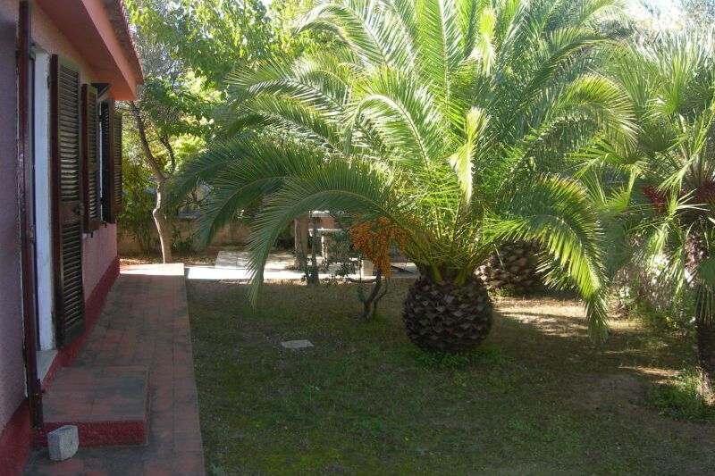 Bivilla nascosta - No. 161/1