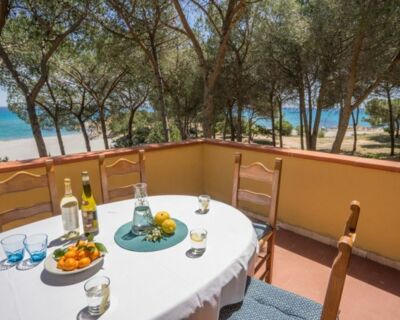 Ampio app. fronte mare - No. 555B