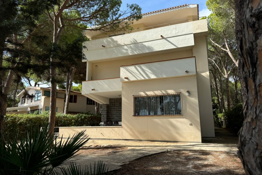 Ampio app. fronte mare - No. 555C
