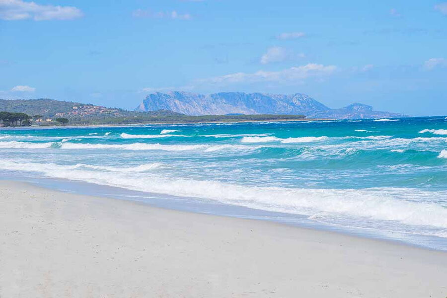 Appartamento panoramico in campagno - No. 106A