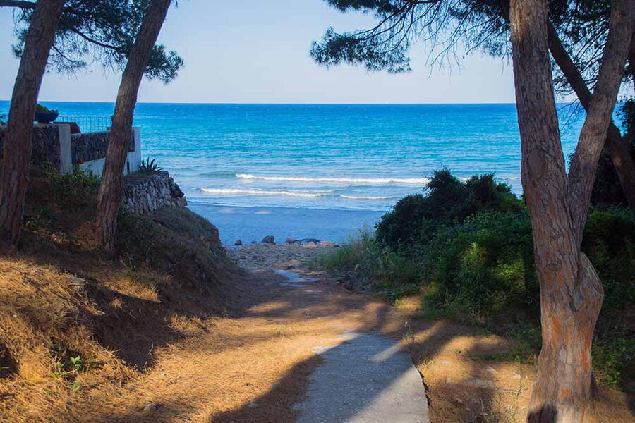 App. ampio con piscina al mare - No. 510C