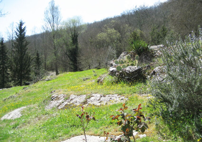 Mulino storico in Toscana - un rifugio dal fascino unico