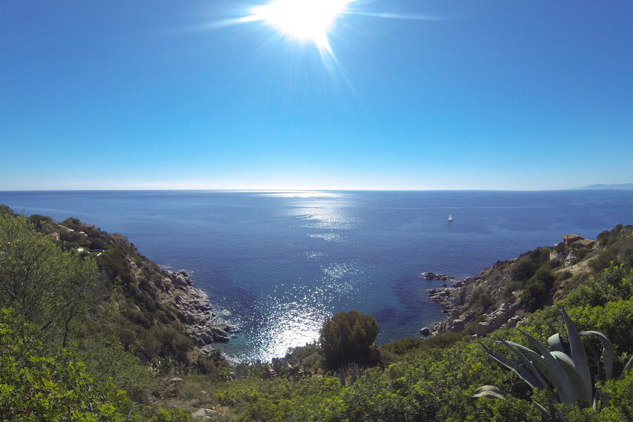 Villa Delfino 44 - No. S242