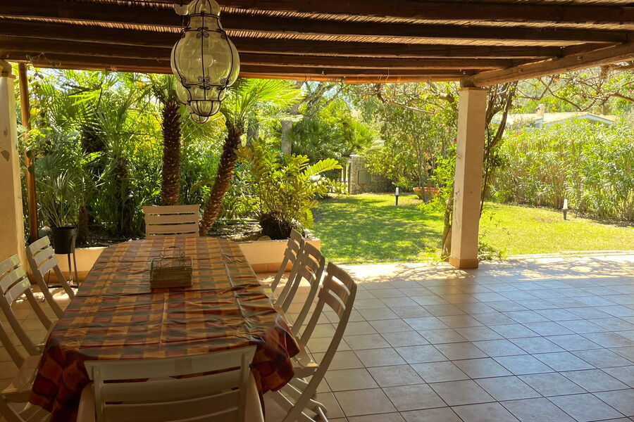 Nido Pira - No. S491